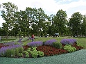 BUGA Schwerin   008
